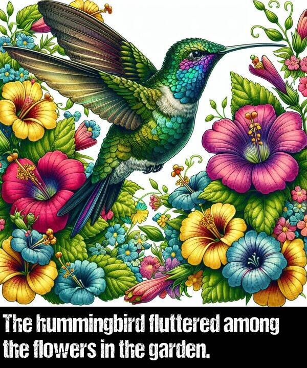 hummingbird: The hummingbird fluttered among the flowers in the garden.