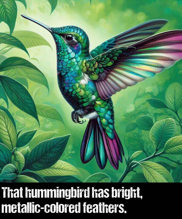 bright: That hummingbird has bright, metallic-colored feathers.