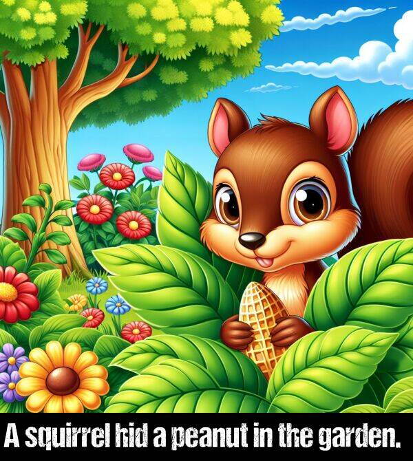 garden: A squirrel hid a peanut in the garden.