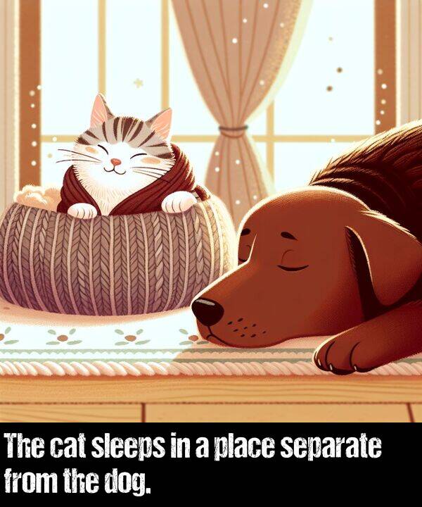 separate: The cat sleeps in a place separate from the dog.
