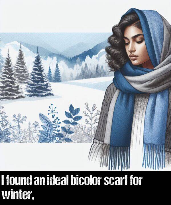 scarf: I found an ideal bicolor scarf for winter.