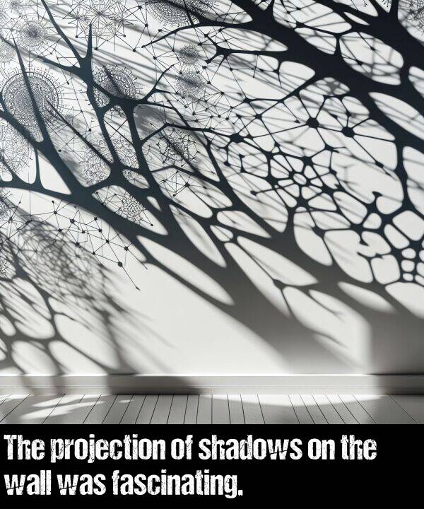wall: The projection of shadows on the wall was fascinating.