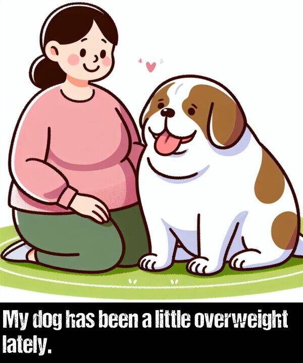 lately: My dog has been a little overweight lately.