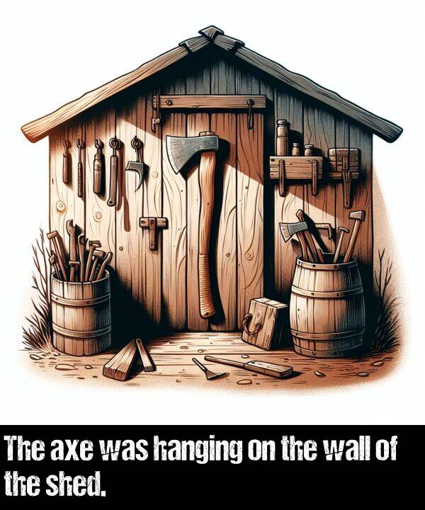 axe: The axe was hanging on the wall of the shed.