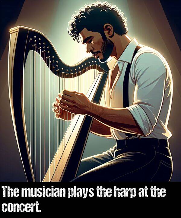 plays: The musician plays the harp at the concert.