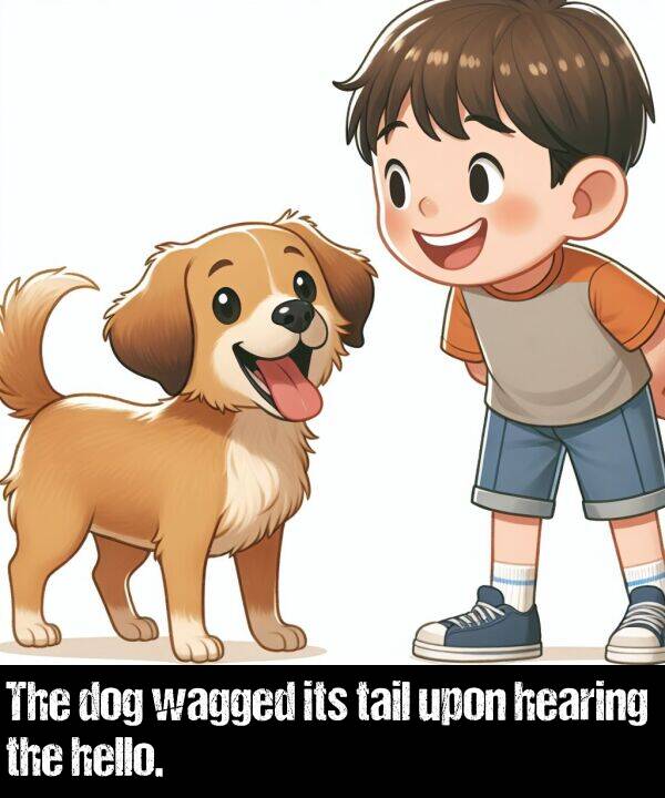 tail: The dog wagged its tail upon hearing the hello.