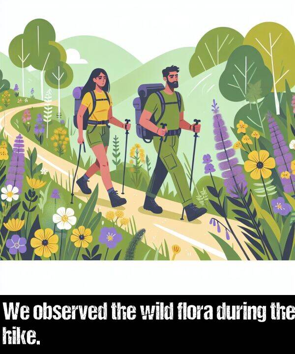 observed: We observed the wild flora during the hike.