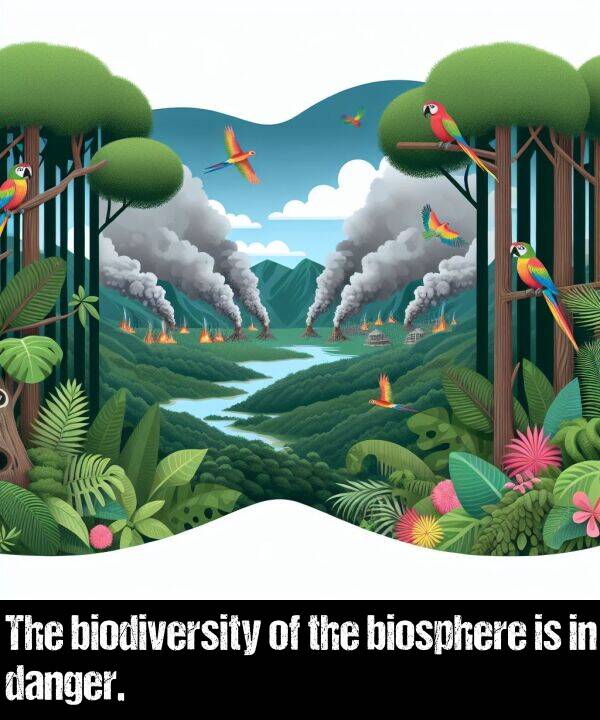 danger: The biodiversity of the biosphere is in danger.