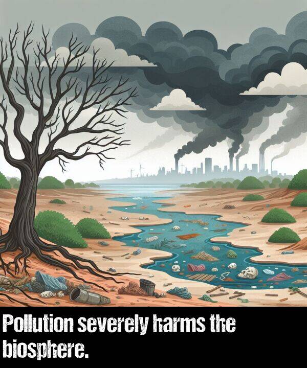 harms: Pollution severely harms the biosphere.