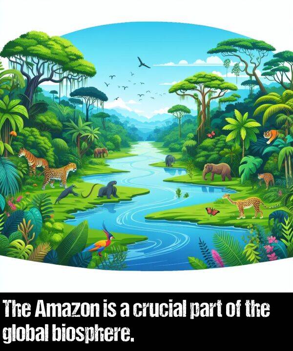 part: The Amazon is a crucial part of the global biosphere.