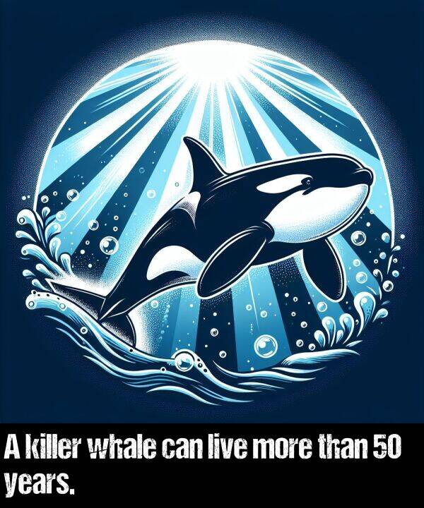 live: A killer whale can live more than 50 years.