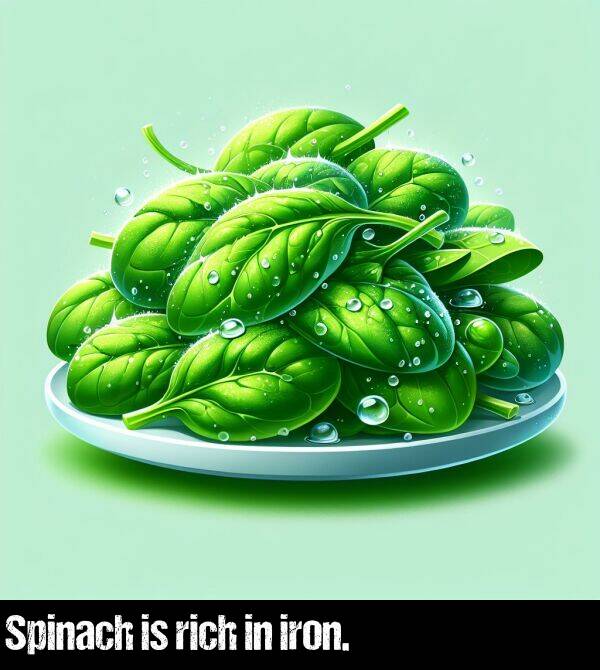 iron: Spinach is rich in iron.