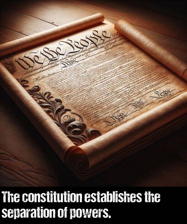 separation: The constitution establishes the separation of powers.