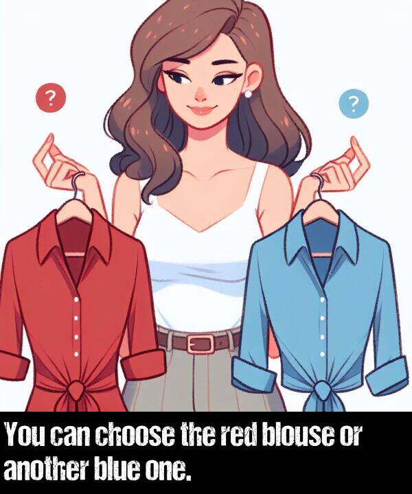 blue: You can choose the red blouse or another blue one.