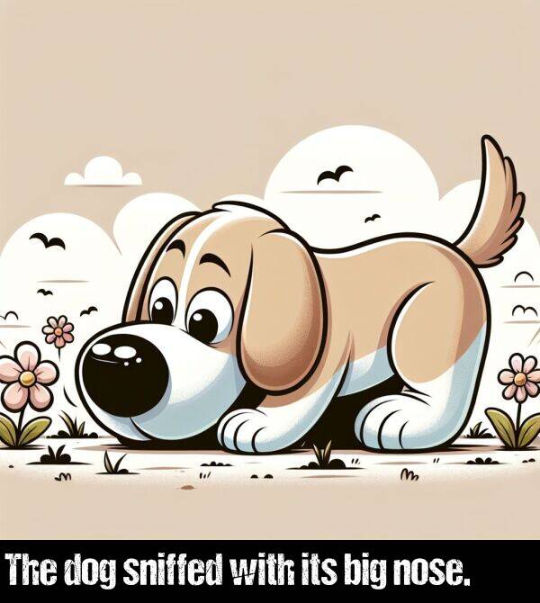 big: The dog sniffed with its big nose.