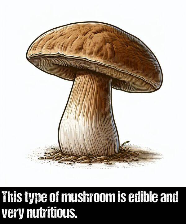 edible: This type of mushroom is edible and very nutritious.