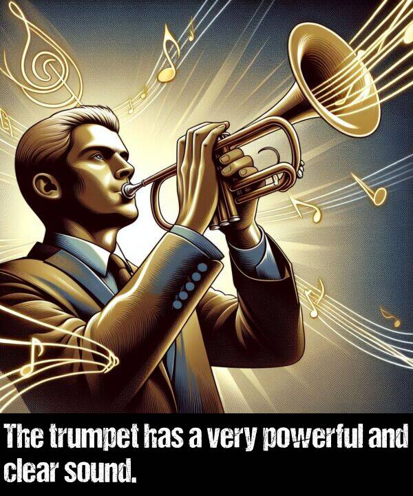 trumpet: The trumpet has a very powerful and clear sound.