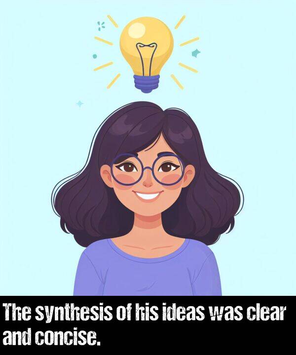 ideas: The synthesis of his ideas was clear and concise.