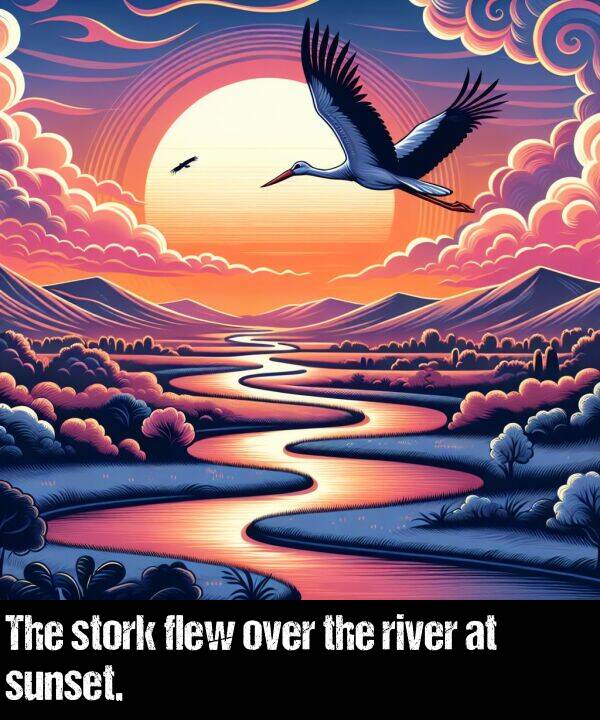river: The stork flew over the river at sunset.