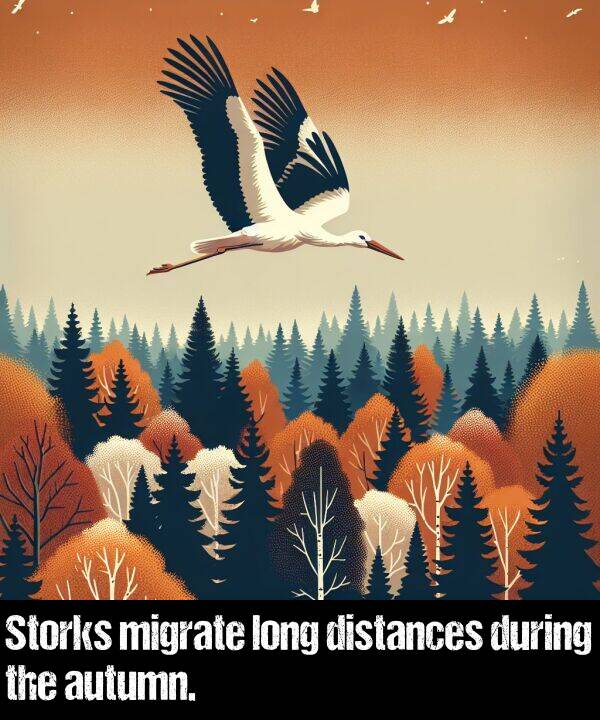 during: Storks migrate long distances during the autumn.