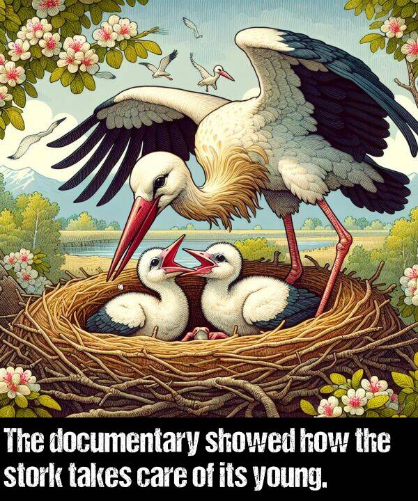 how: The documentary showed how the stork takes care of its young.