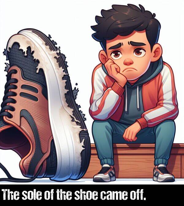 the: The sole of the shoe came off.