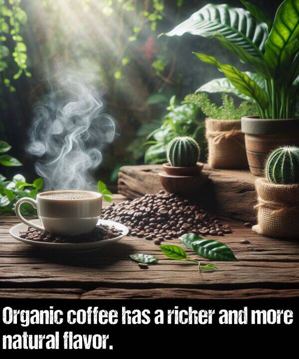 natural: Organic coffee has a richer and more natural flavor.