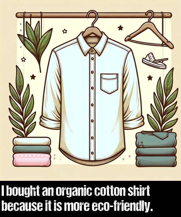 because: I bought an organic cotton shirt because it is more eco-friendly.