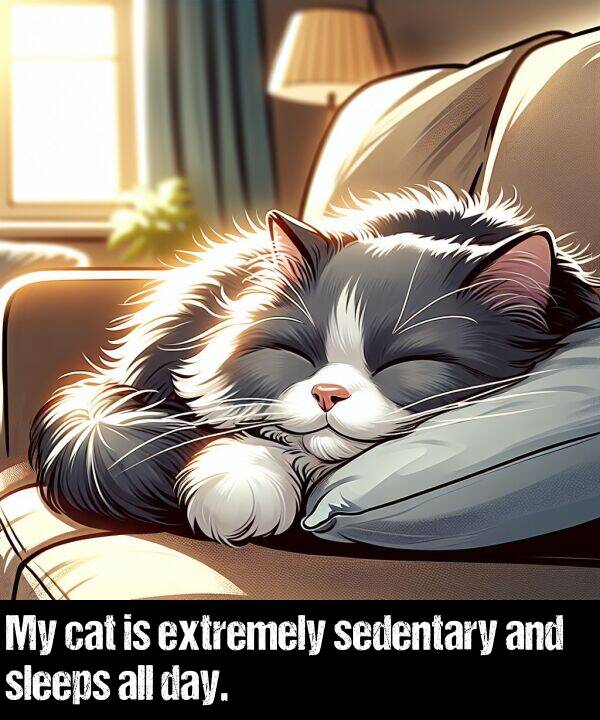 day: My cat is extremely sedentary and sleeps all day.