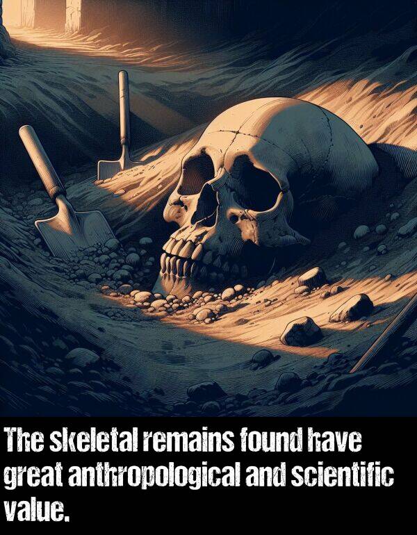 skeletal: The skeletal remains found have great anthropological and scientific value.