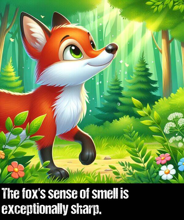 sense: The fox's sense of smell is exceptionally sharp.