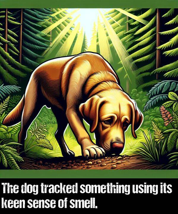 keen: The dog tracked something using its keen sense of smell.