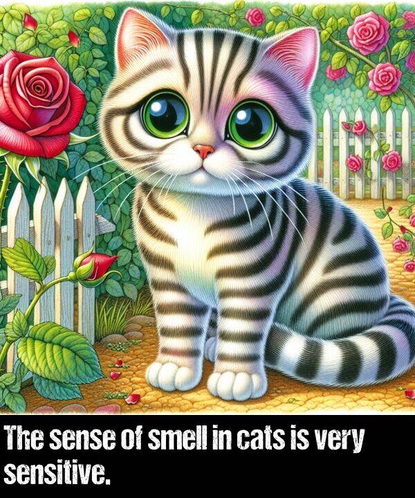 sense: The sense of smell in cats is very sensitive.