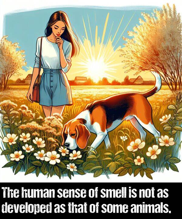 animals: The human sense of smell is not as developed as that of some animals.