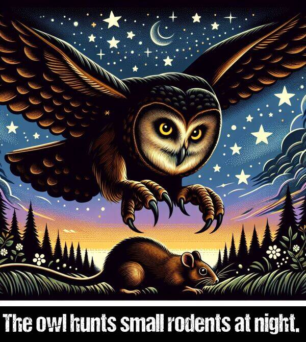 night: The owl hunts small rodents at night.