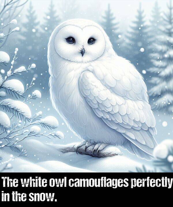 white: The white owl camouflages perfectly in the snow.