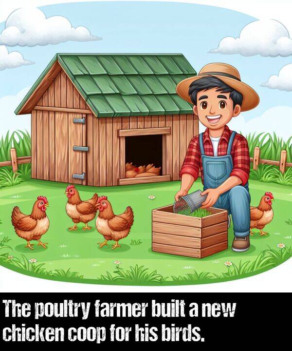 birds: The poultry farmer built a new chicken coop for his birds.