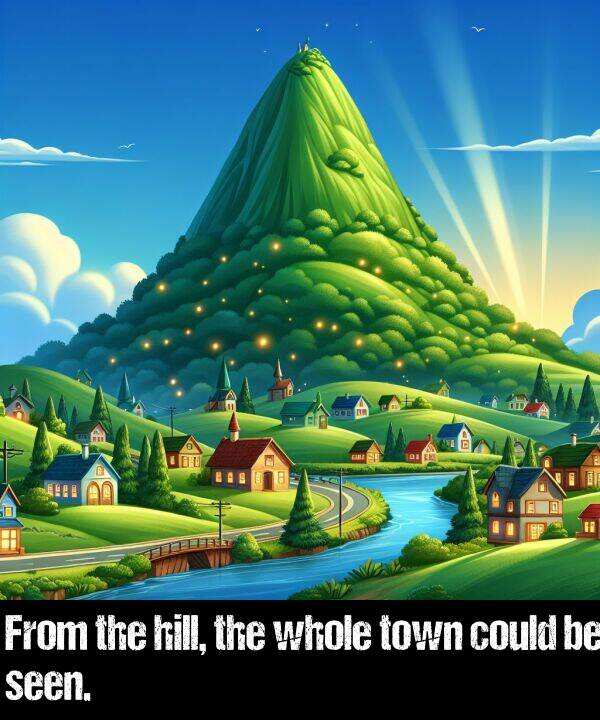 whole: From the hill, the whole town could be seen.