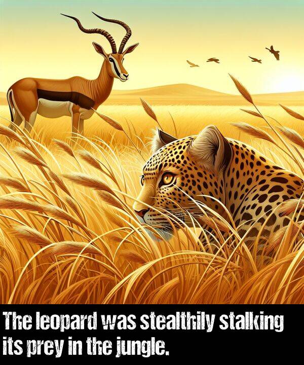 leopard: The leopard was stealthily stalking its prey in the jungle.