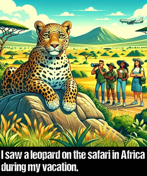 leopard: I saw a leopard on the safari in Africa during my vacation.