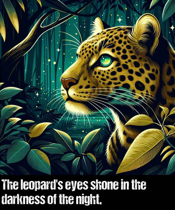 night: The leopard's eyes shone in the darkness of the night.
