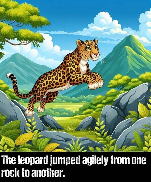 leopard: The leopard jumped agilely from one rock to another.