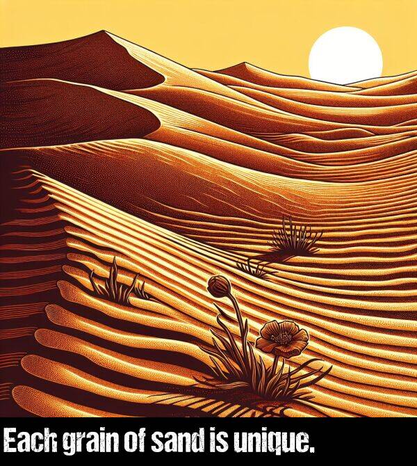sand: Each grain of sand is unique.