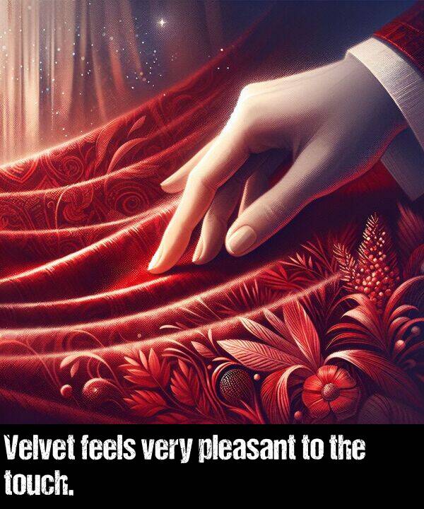 very: Velvet feels very pleasant to the touch.