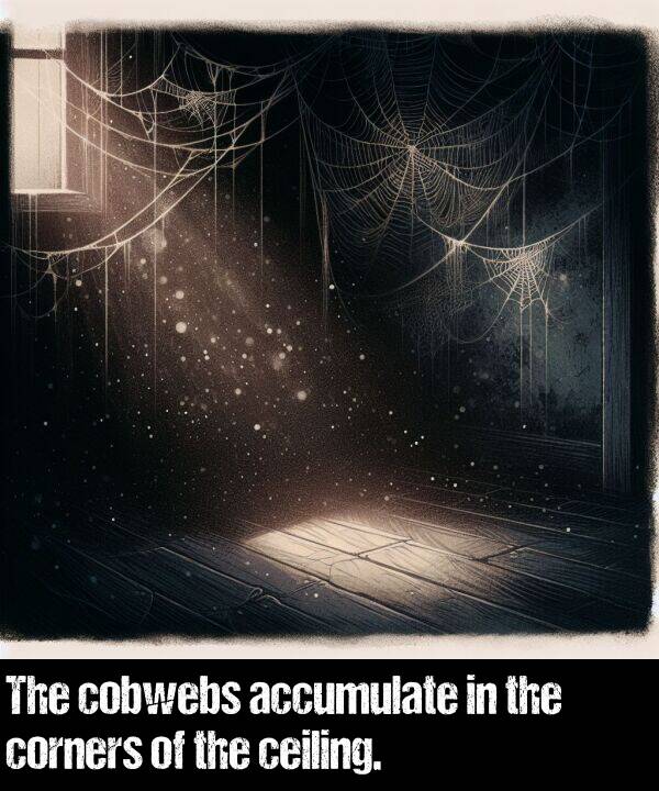 cobwebs: The cobwebs accumulate in the corners of the ceiling.