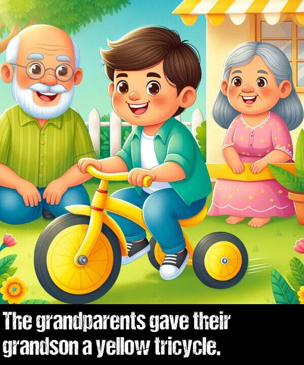 their: The grandparents gave their grandson a yellow tricycle.