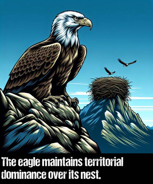 maintains: The eagle maintains territorial dominance over its nest.
