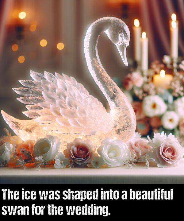 beautiful: The ice was shaped into a beautiful swan for the wedding.