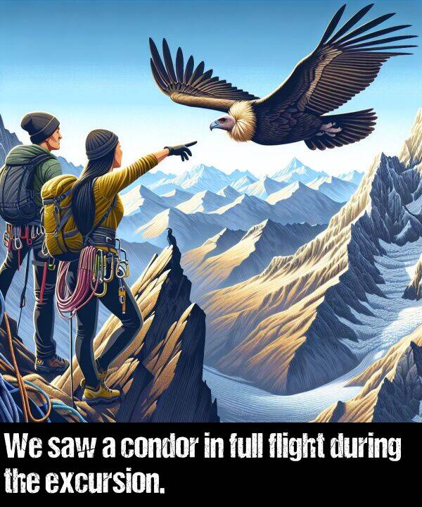 flight: We saw a condor in full flight during the excursion.