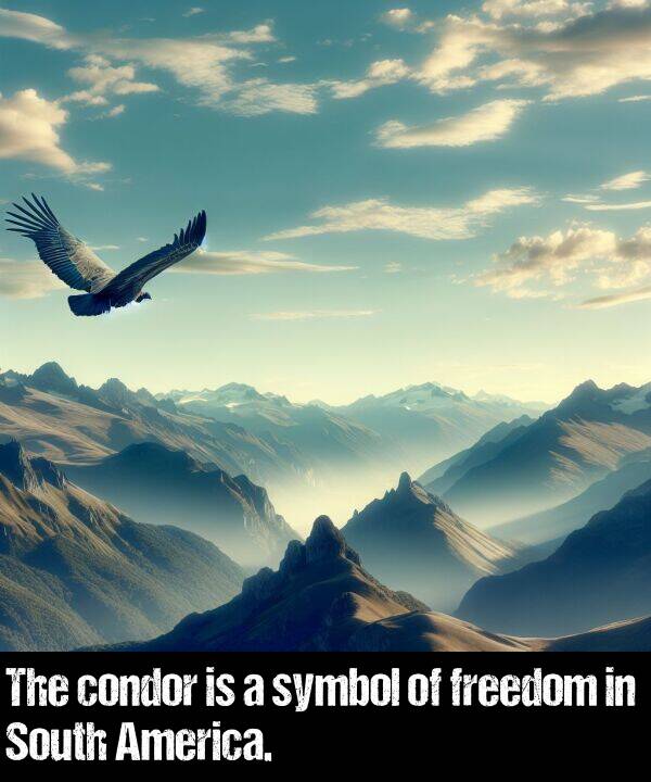 symbol: The condor is a symbol of freedom in South America.